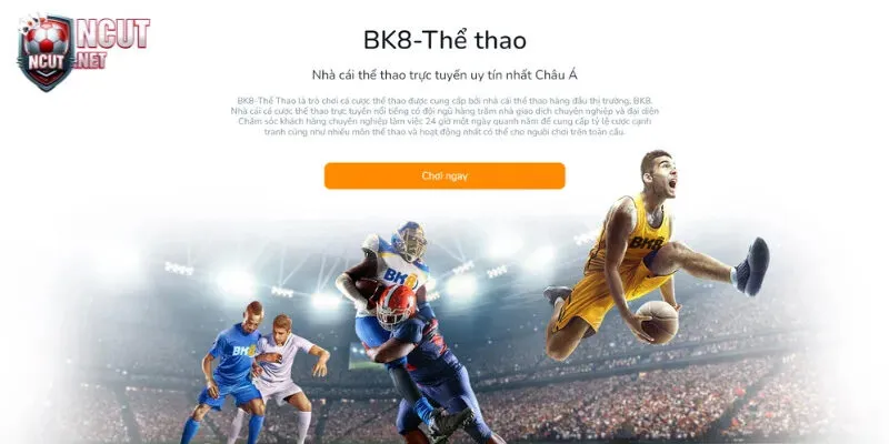 Nhà cái BK8 - Top nhà cái hàng đầu châu Á 6 ca cuoc the thao hap dan 1